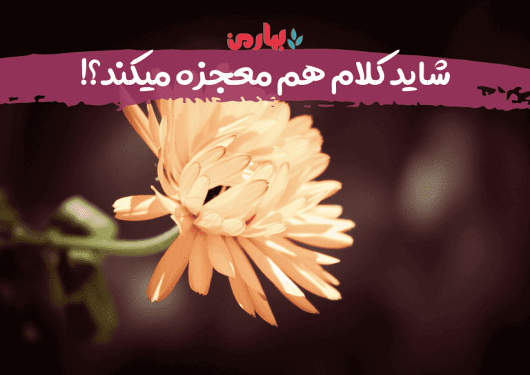 فاطمه درویشی