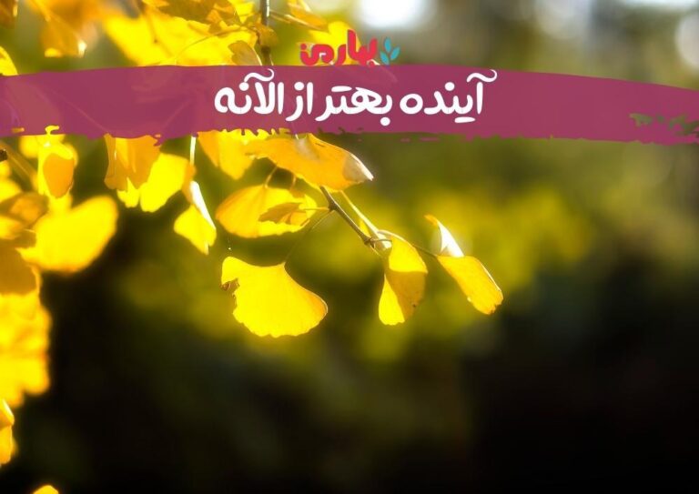 نرگس مددیان