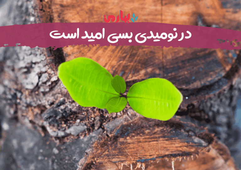 مجید محمد آبادی