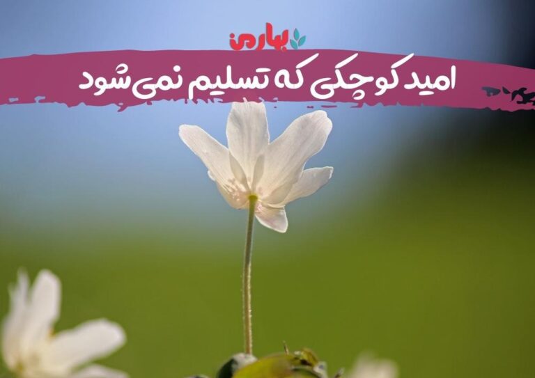 آتوسا یاوری