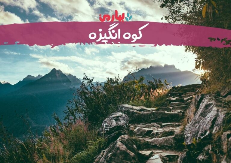 معصومه تاریک