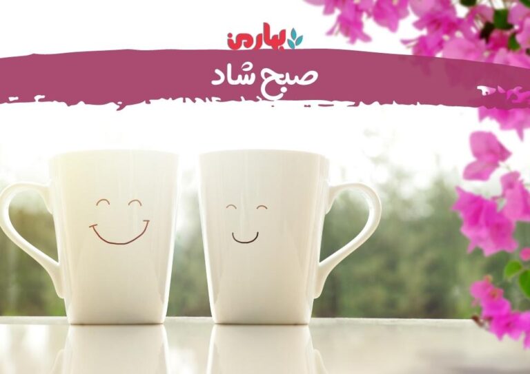 ابوالفضل عسکری