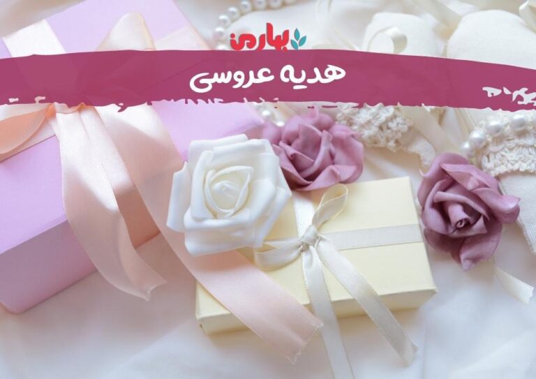 مالک دامنی