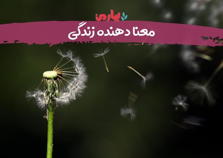 مسعود مرزانی