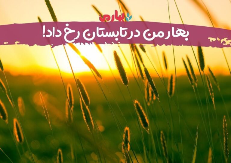 زهرا امین جعفری