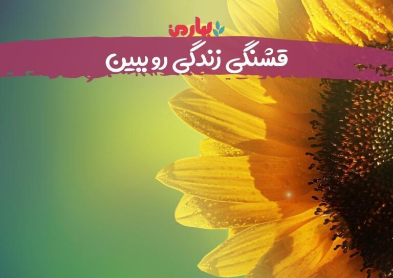 داستان زینب خازنی_شرکت کننده دوره نخبگان