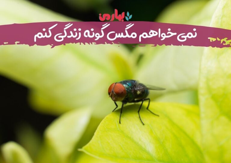 نفیسه نصر اصفهانی_bahareman.com
