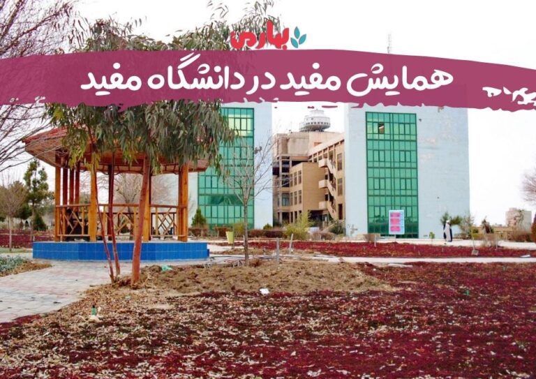 همایش مفید در دانشگاه مفید