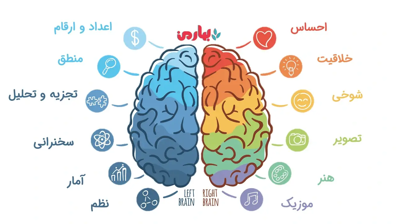 شناخت مغز مخاطب برای سخنرانی