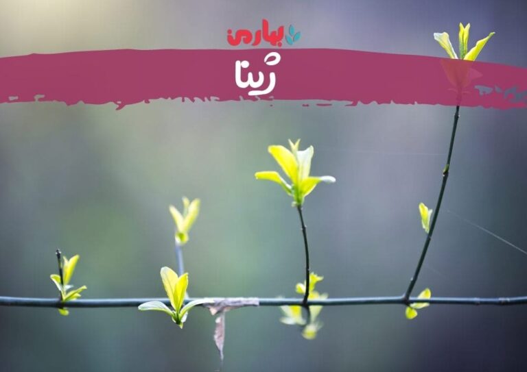 ژینا - بهارمن