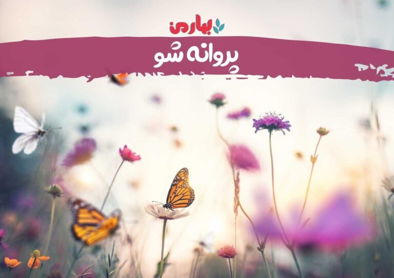 نفیسه نصر اصفهانی - پروانه شو