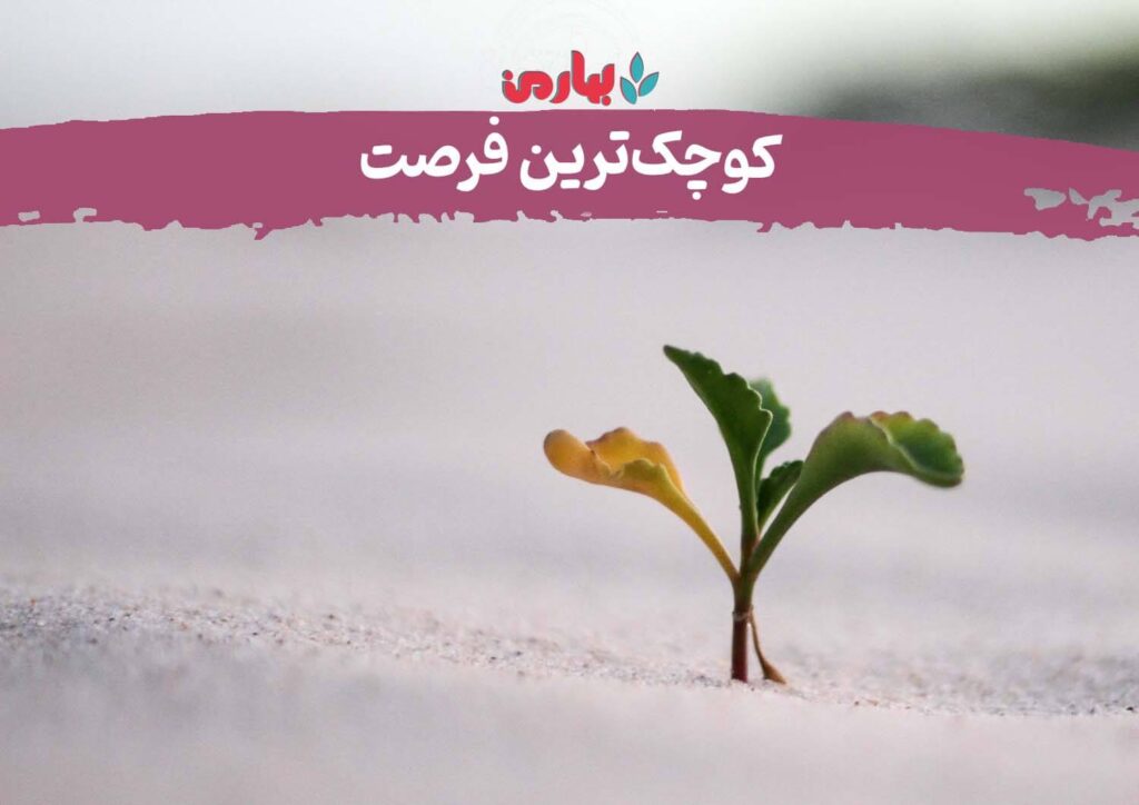 کوچک ترین فرصت