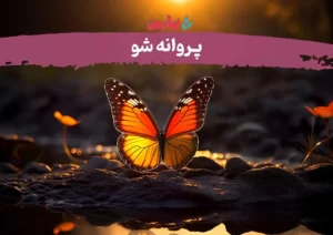 پروانه شو