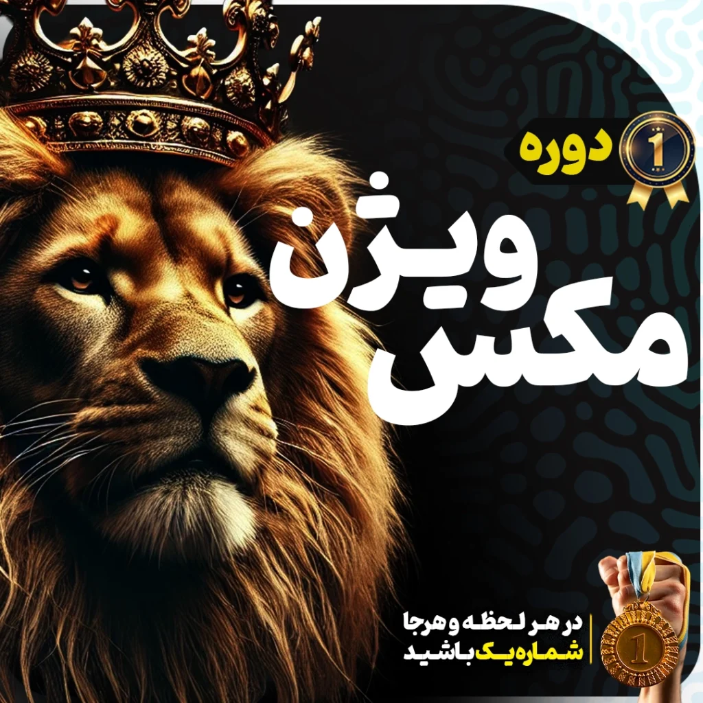 دوره آموزشی مکس ویژن