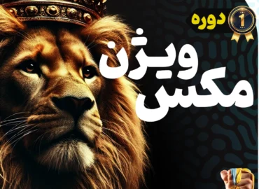 دوره آموزشی مکس ویژن