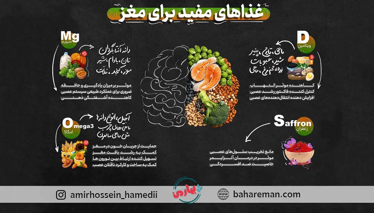 چگونگی تقویت حافظه کوتاه مدت با مواد غذایی 3 خوراکیهای مفید برای تقویت مغز و بهبود عملکرد ذهن