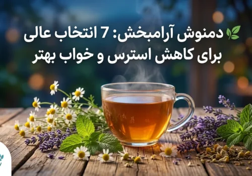 🌿 دمنوش آرامبخش: 7 انتخاب عالی برای کاهش استرس و خواب بهتر
